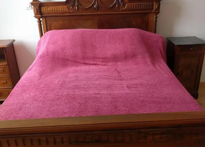 Charmante Maison Médiévale Au Cœur D'hérisson - Fr-1-489-606 Appartement *